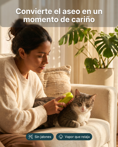 Cepillo en uso con gato