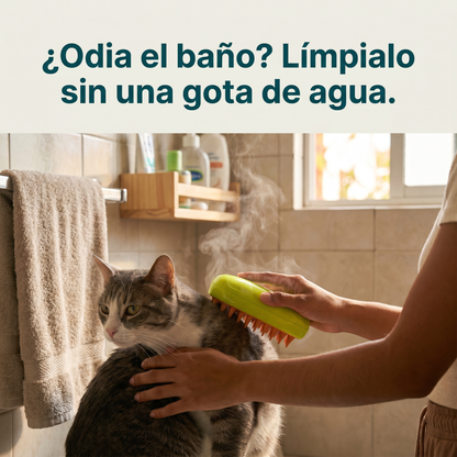 Limpia sin bano
